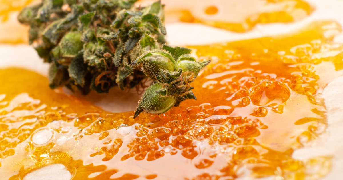 A cannabis resin wax on a white table.